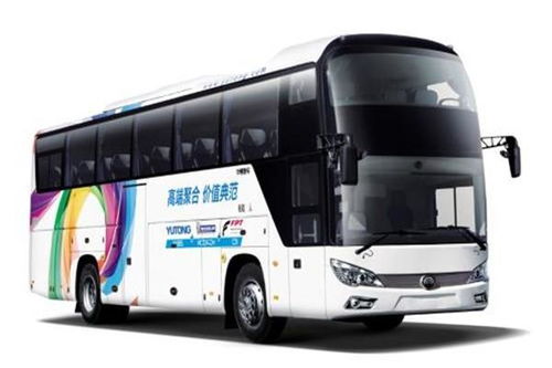 嘉善至平頂山長(zhǎng)途汽車客運(yùn)指南與票務(wù)代理服務(wù)詳解
